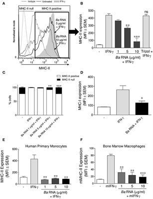 Bacterial RNA Contributes to the Down-Modulation of MHC-II Expression on Monocytes/Macrophages Diminishing CD4+ T Cell Responses